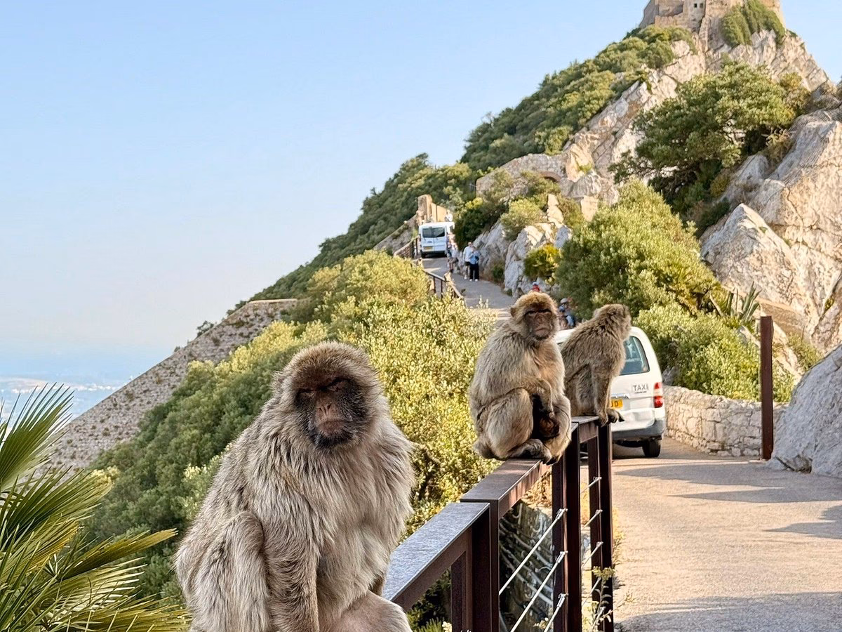 ¿Cuáles son las mejores rutas para subir al Peñón?
