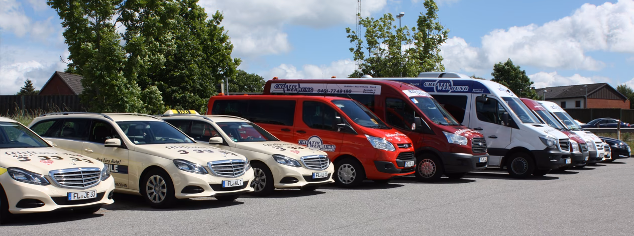 What is soundtaxi professional?