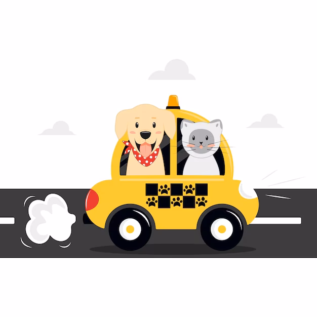 Does animals at home offer pet transport?