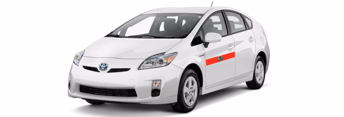 ¿Cómo garantiza taxi2 Bilbao el bienestar de sus pasajeros?