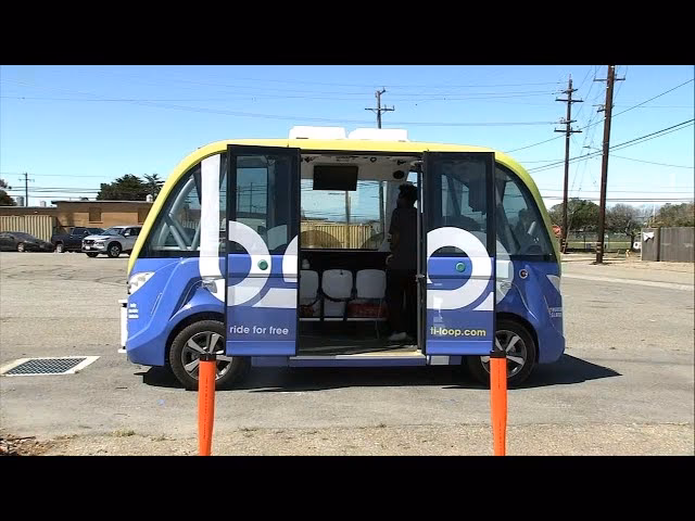 How do I book a minibus or a taxi?