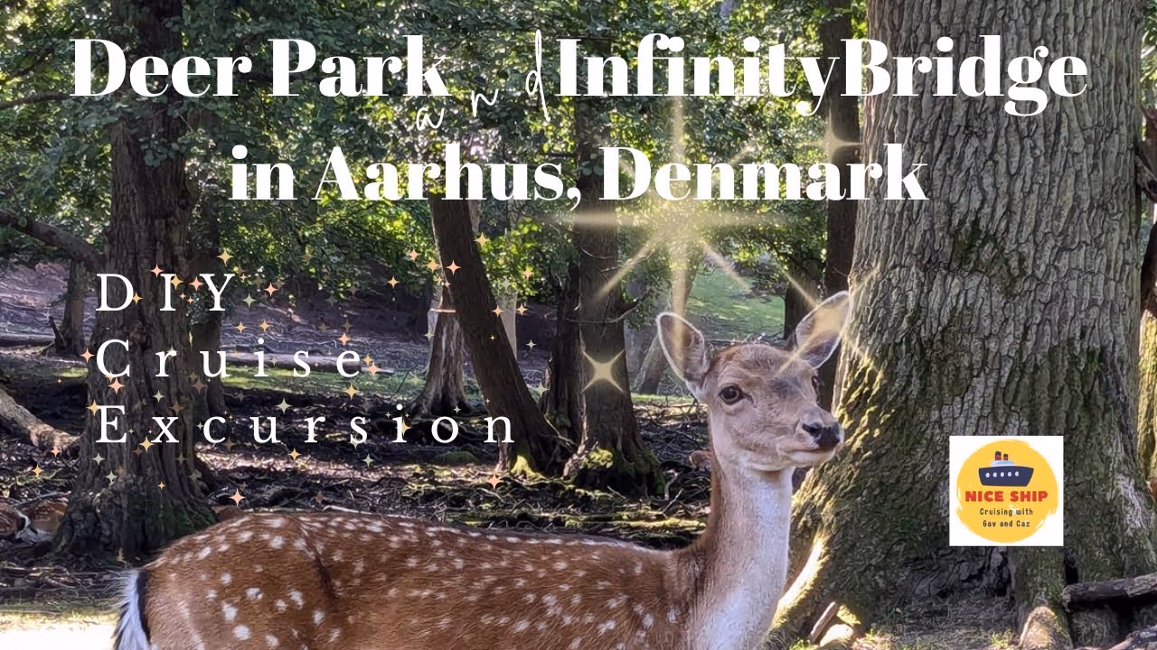 How long does it take to get from Aarhus Airport (AAR)?