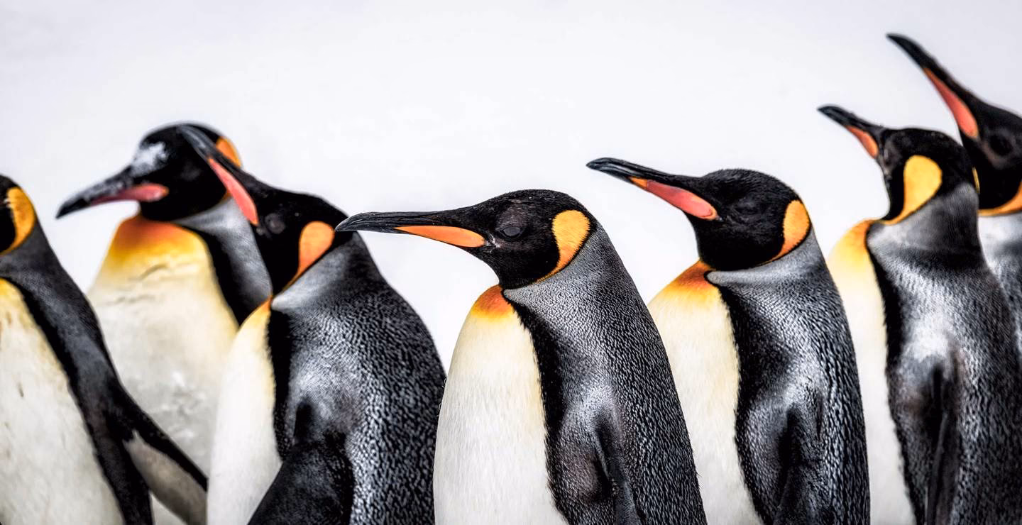 How far is Barrow in Furness from South Lakes Safari Zoo?