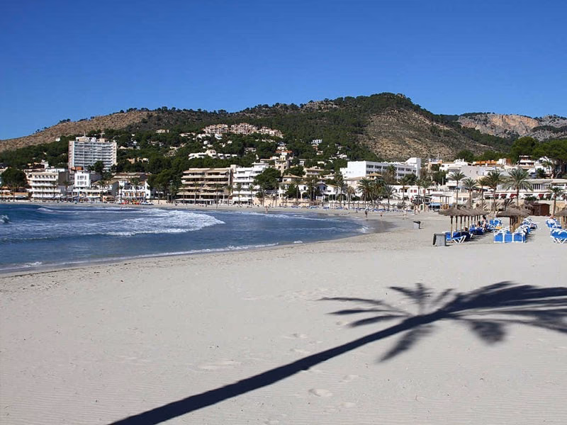 How to get from Palma de Mallorca Airport to Peguera?