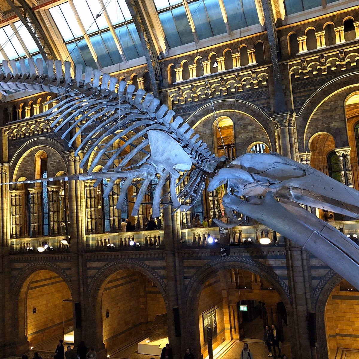 How much does a hotel cost in Natural History Museum?