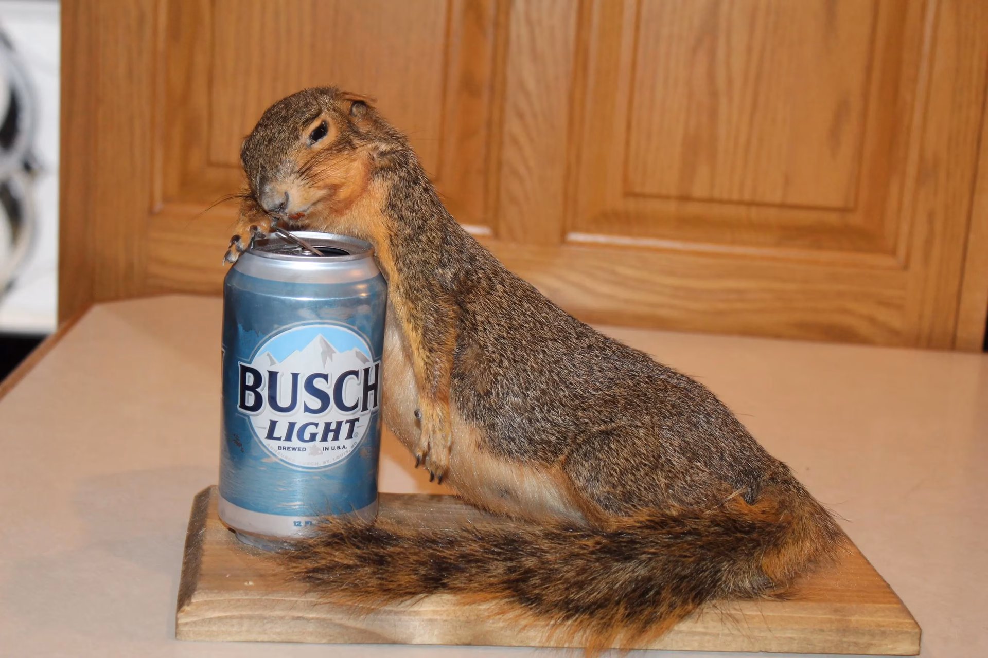 Where to eat taxidermy in London?