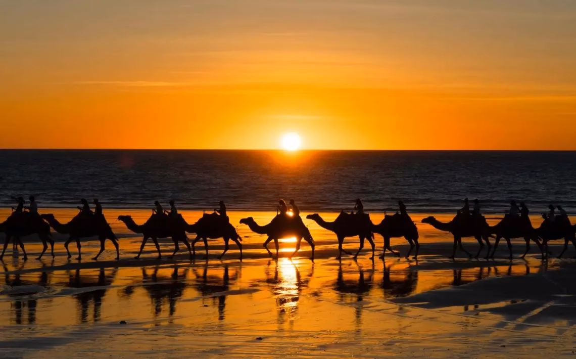 How much does it cost to stay at Roebuck Bay?