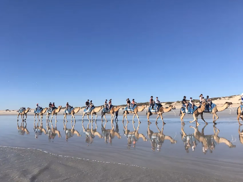 How to get from Broome Airport (BME) to Pearle of Cable Beach?