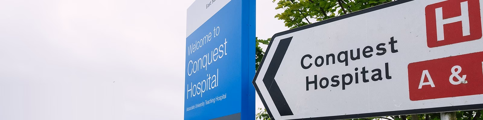 What companies run services between Conquest Hospital and Hastings?