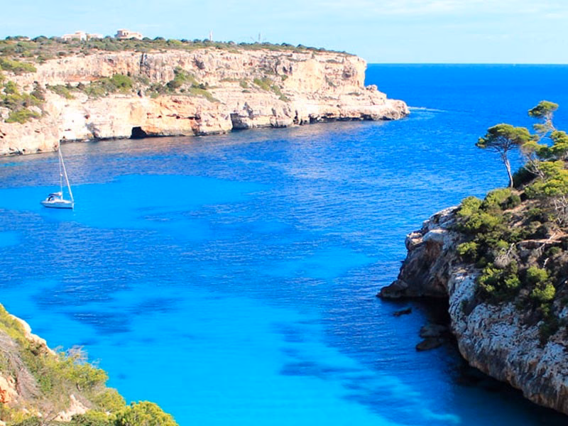 Where does the Palma to Cala d'Or bus go?