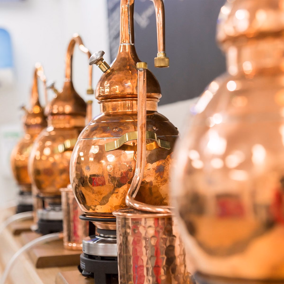 Where can I find Adnams?