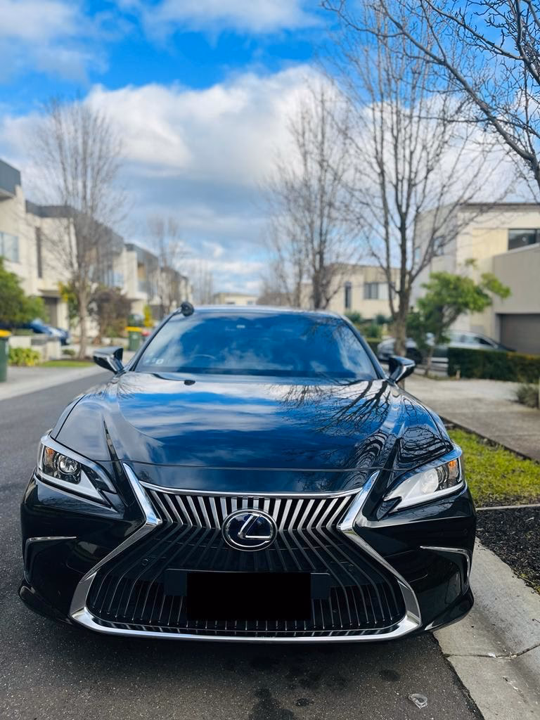 What companies run services between Dandenong South and Melbourne Airport?