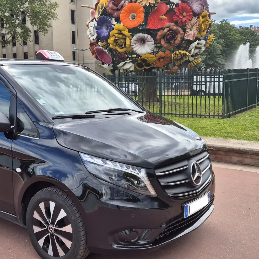 How to book a taxi from Lyon Airport (Lys) to La Rosiere?