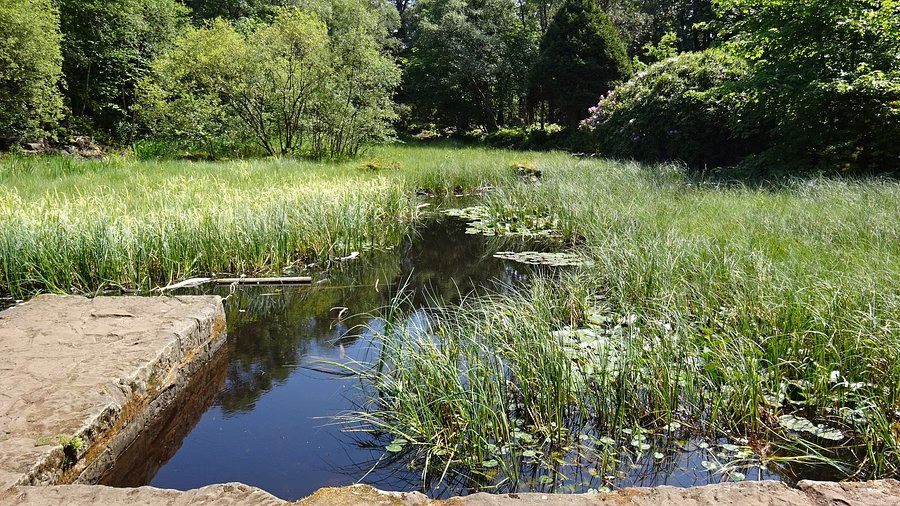 How long does it take to get from Milngavie to Strathblane?