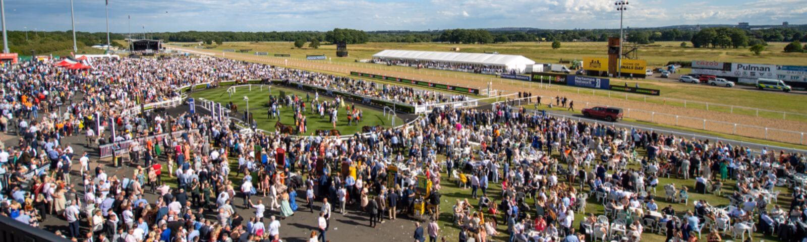 How far is Newcastle (station) from Newcastle Racecourse?