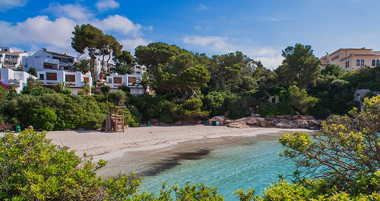 How to get from Cala Bona to Puerto de Pollensa?