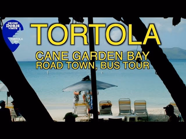 What companies run services between Tortola and Cane Garden Bay?