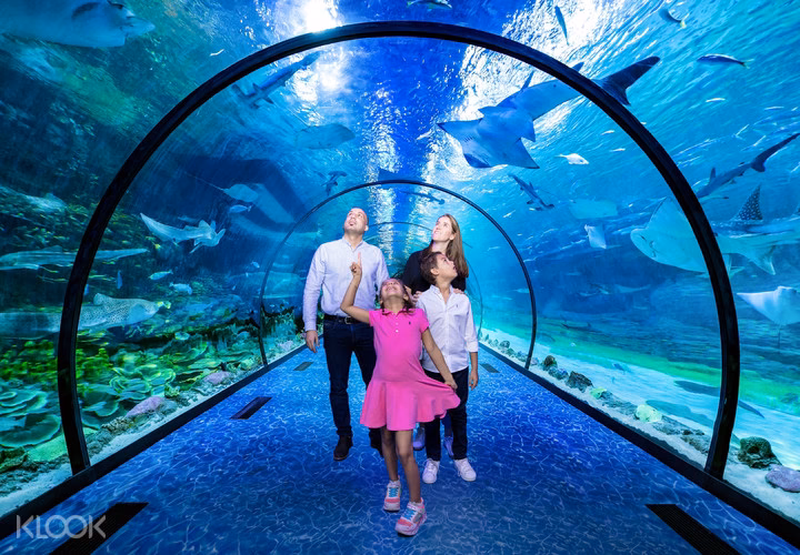 How much does it cost to visit sea life & London Eye?