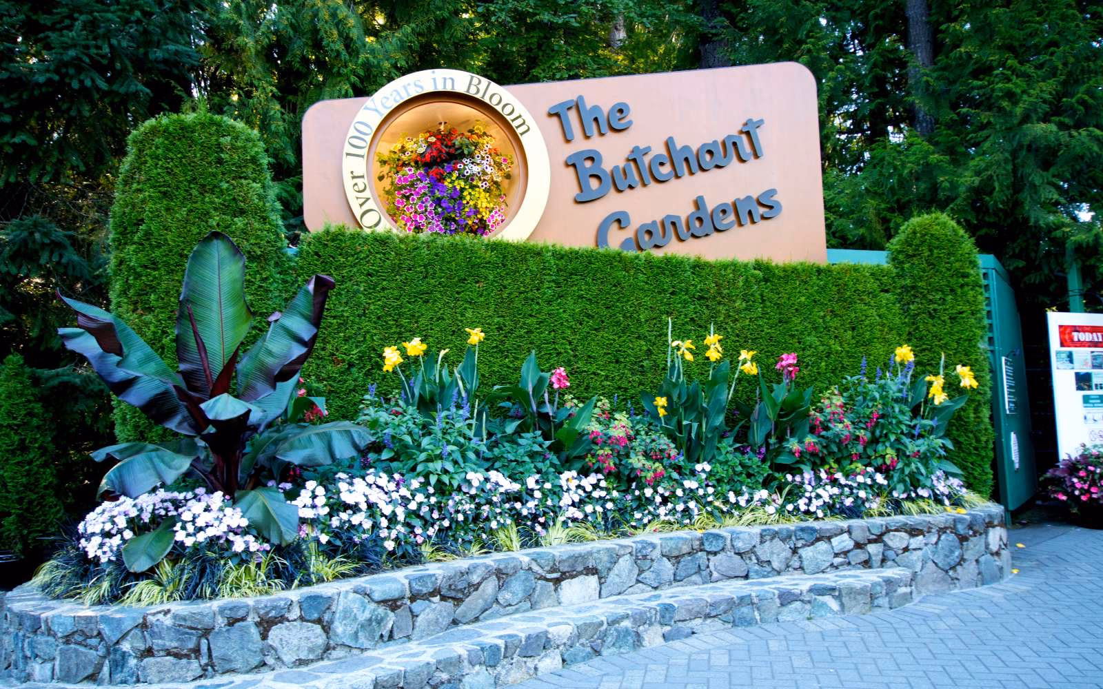 How far is Victoria butterfly gardens from Butchart Gardens?