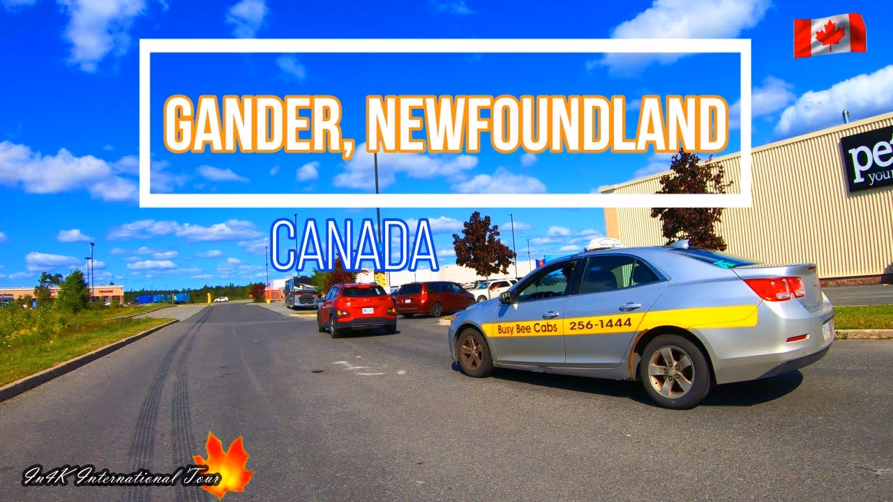 Is taxi a good service?