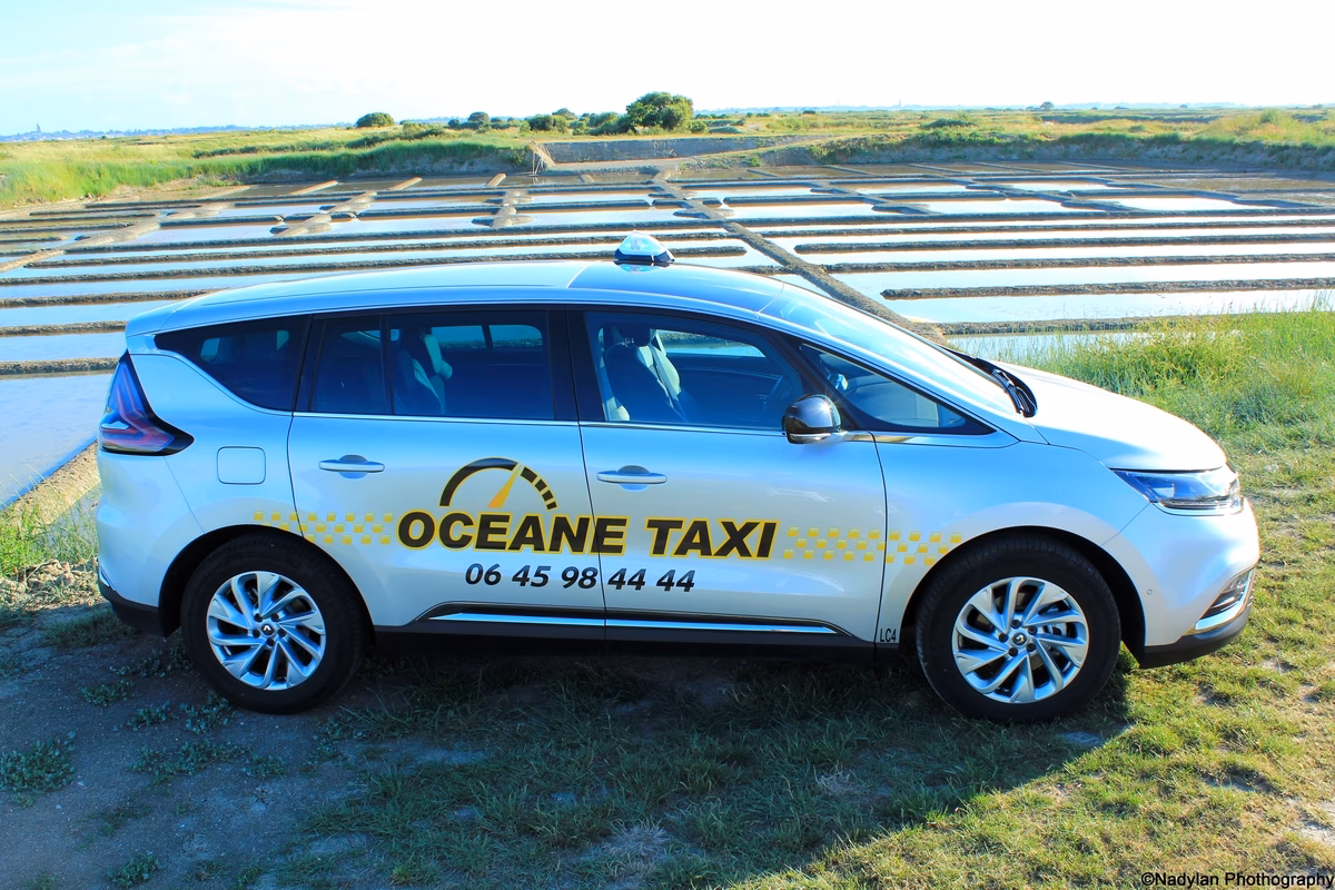 Quels sont les services d'oceane taxi ?
