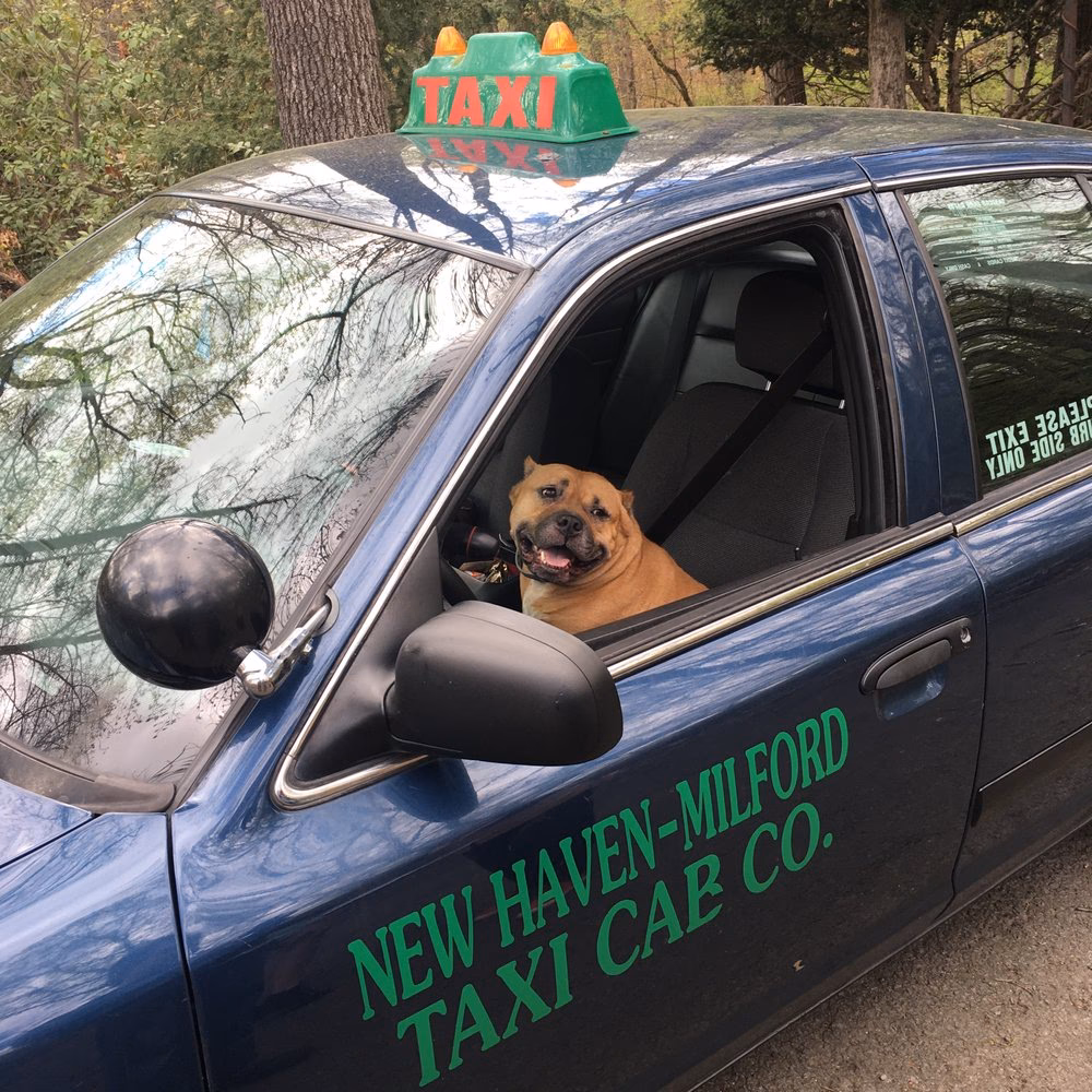 Why is M7 the best transportation app in Connecticut?