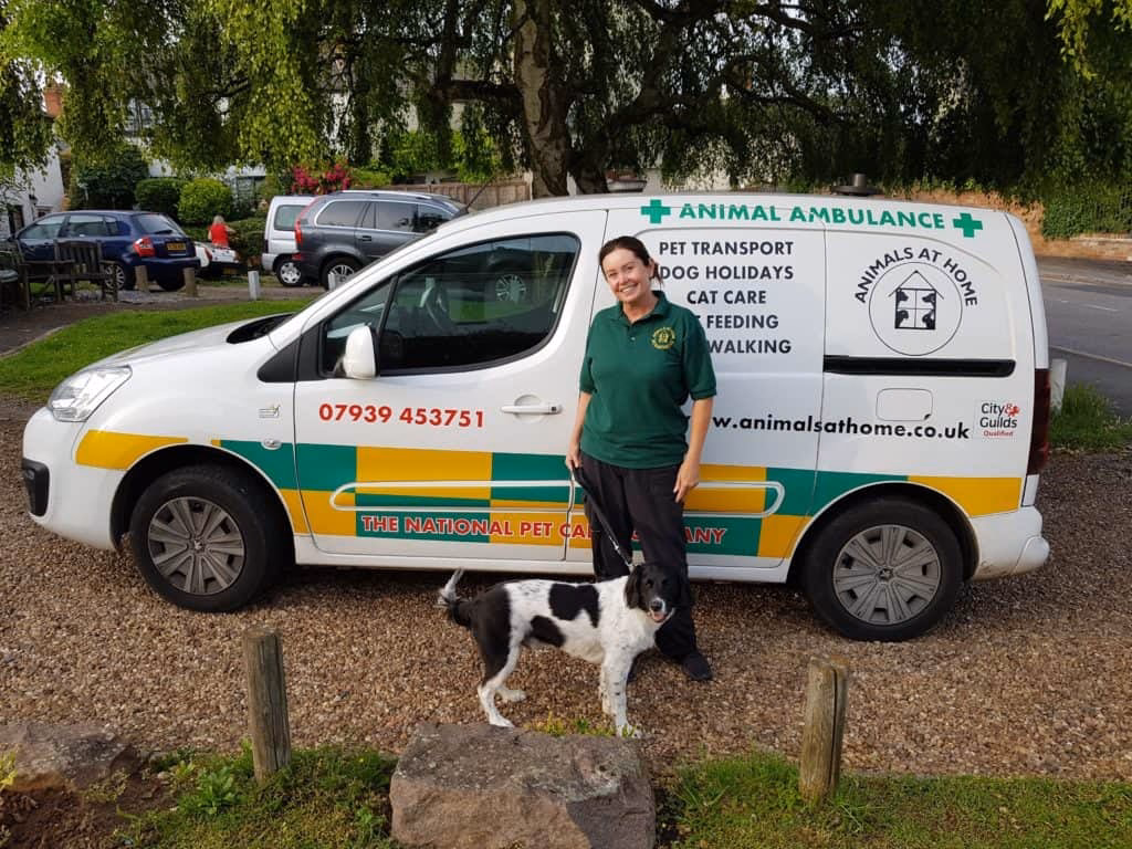 Can I transport my Pet from Leicester by road?