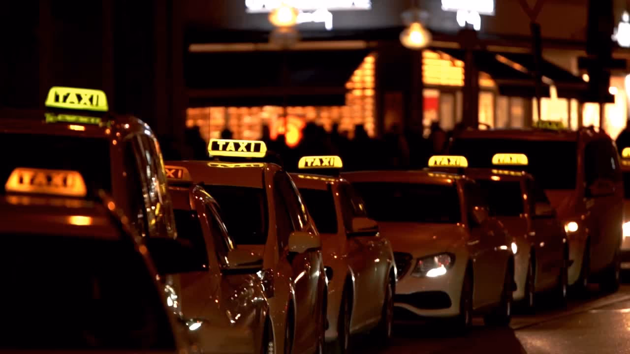 Wie viele Taxiunternehmen gibt es in Ingolstadt?