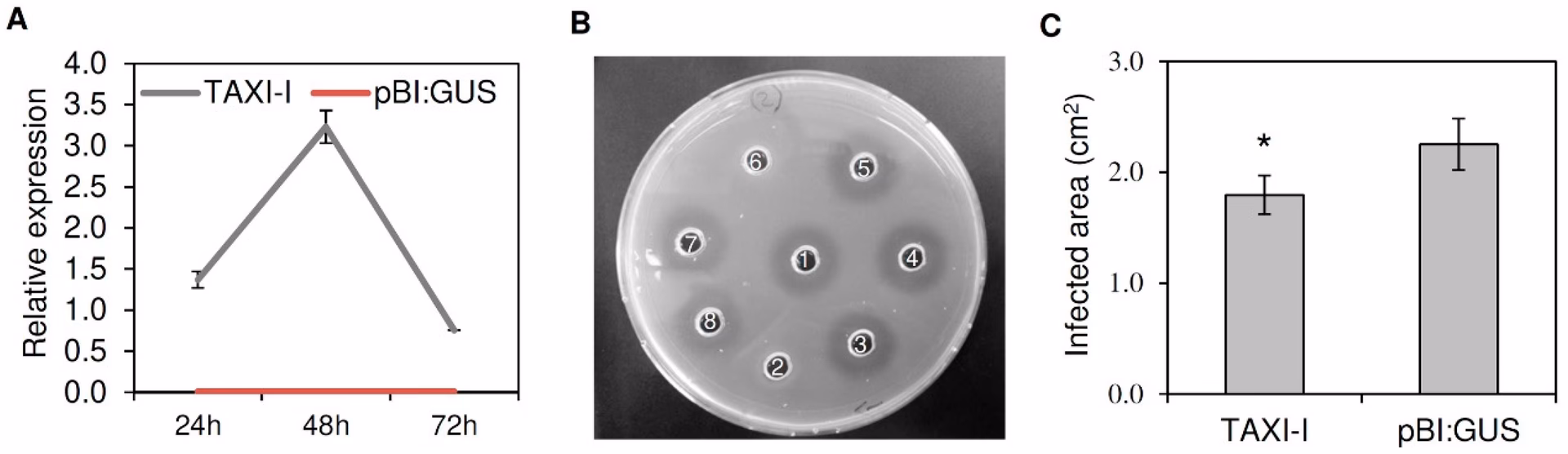 Which enzyme-inhibitor interaction has been performed for taxi type XIs?