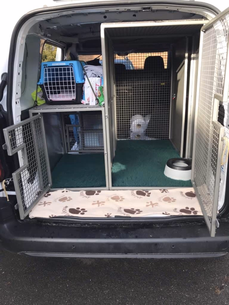 Is the Isle of Wight dog friendly?