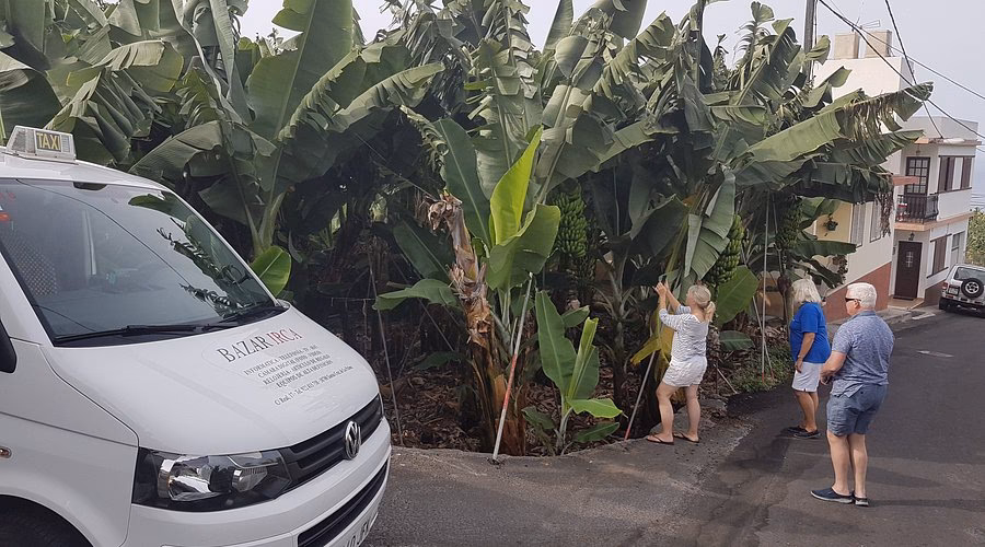 How to get from La Palma Airport to the most popular destinations?