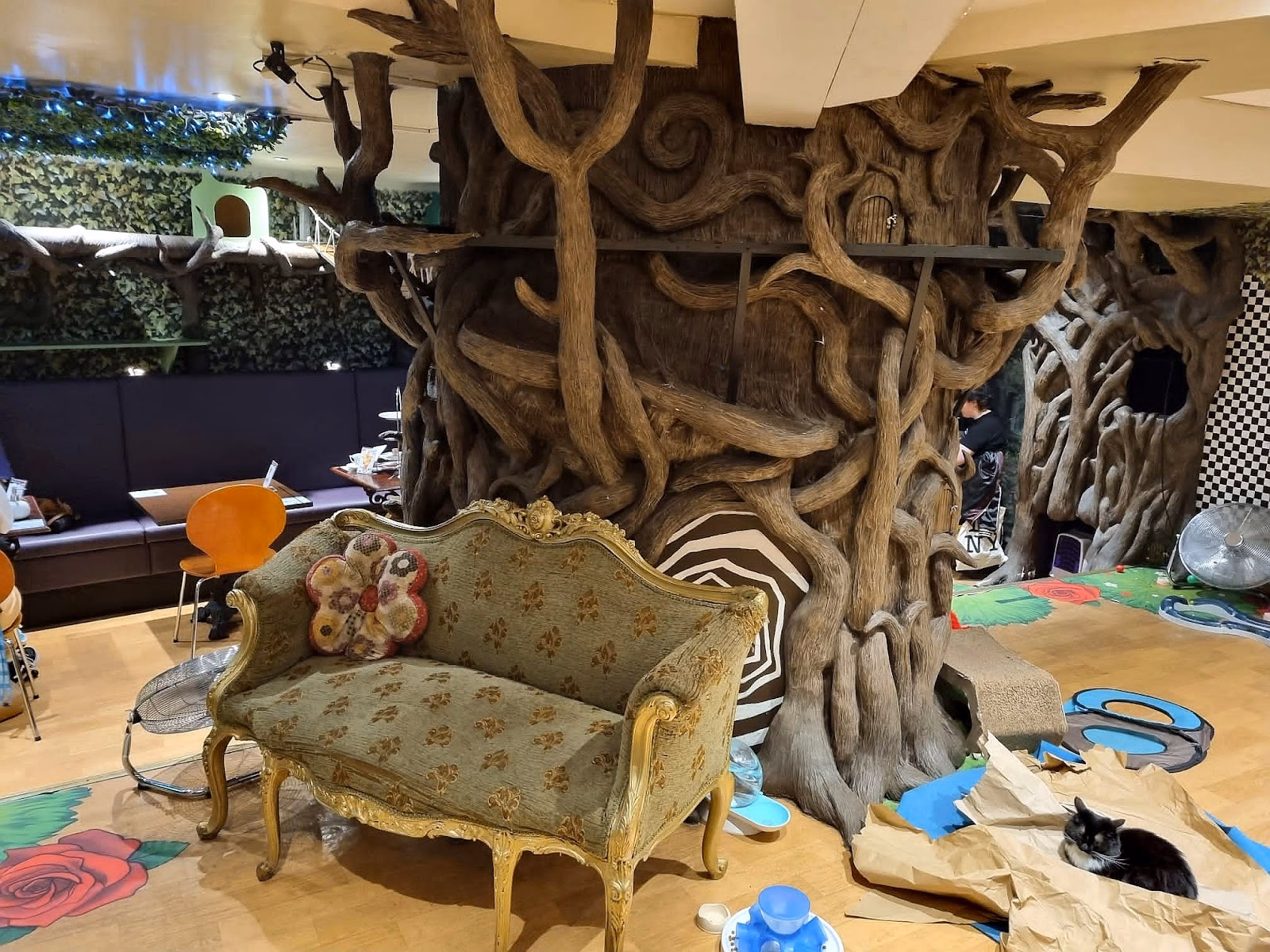 Why do you need A Clowder at Lady Dinah's?