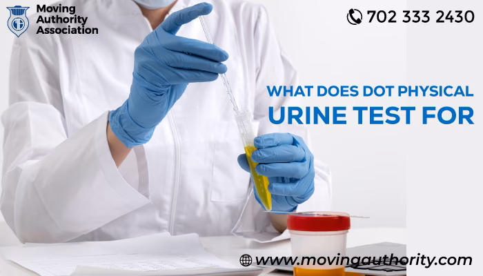 What is a medical assessment for a taxi driver?