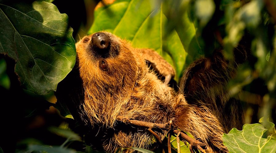 Where is Marwell Zoo?