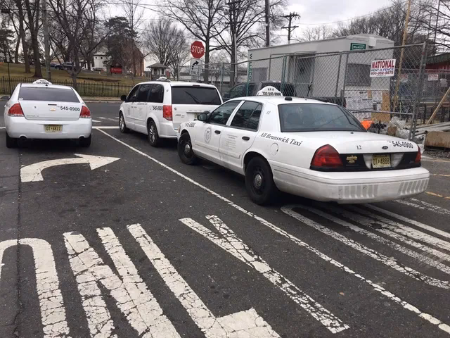 Who is all Brunswick taxi?