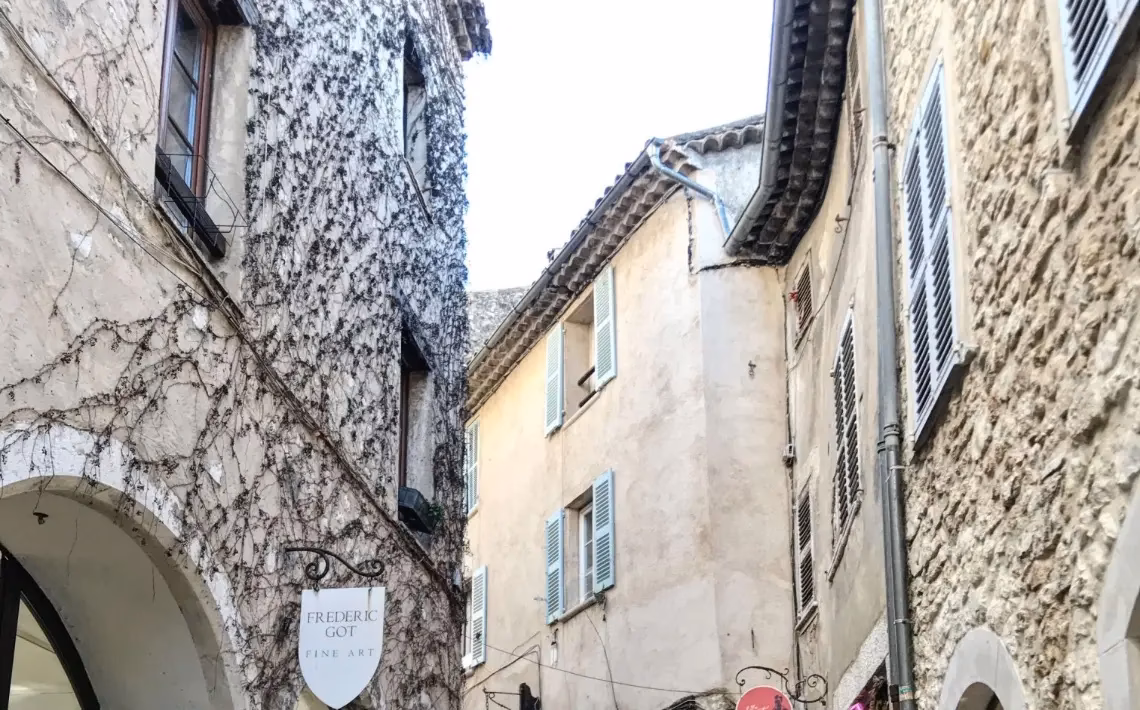 How to get from Nice to Vence?