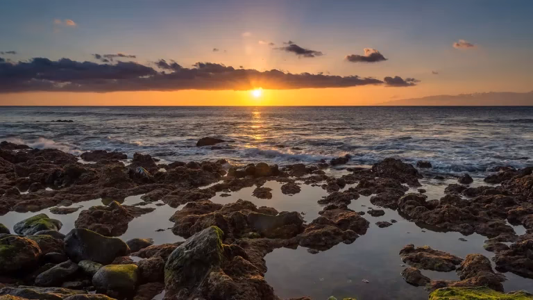 How to get from Palm-Mar to Playa de las Américas?