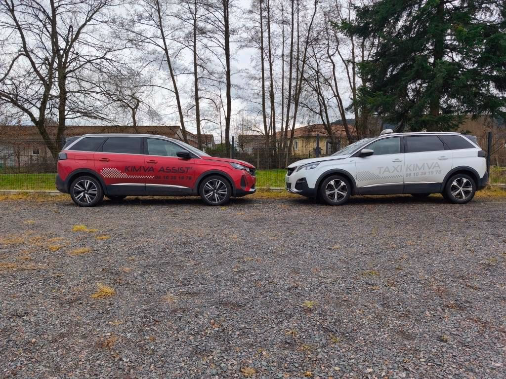 Qui a créé l'entreprise familiale les ambulances taxi Choserot ?