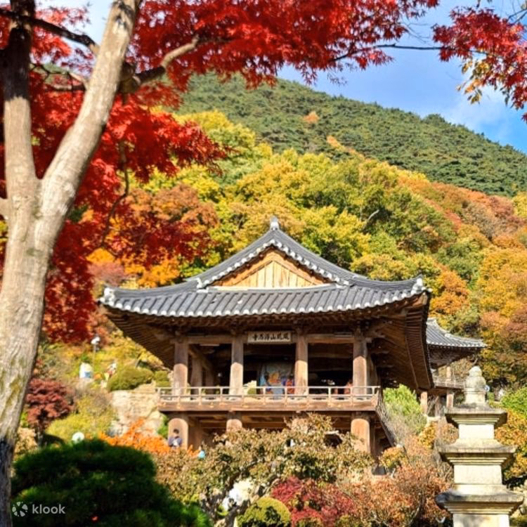 Why should you choose Starline transfers for a Bristol Temple Meads taxi transfer?