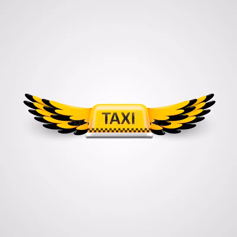What is Red Wing Taxi service?