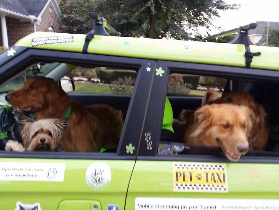 Who are the best car hire companies in Hunstanton?