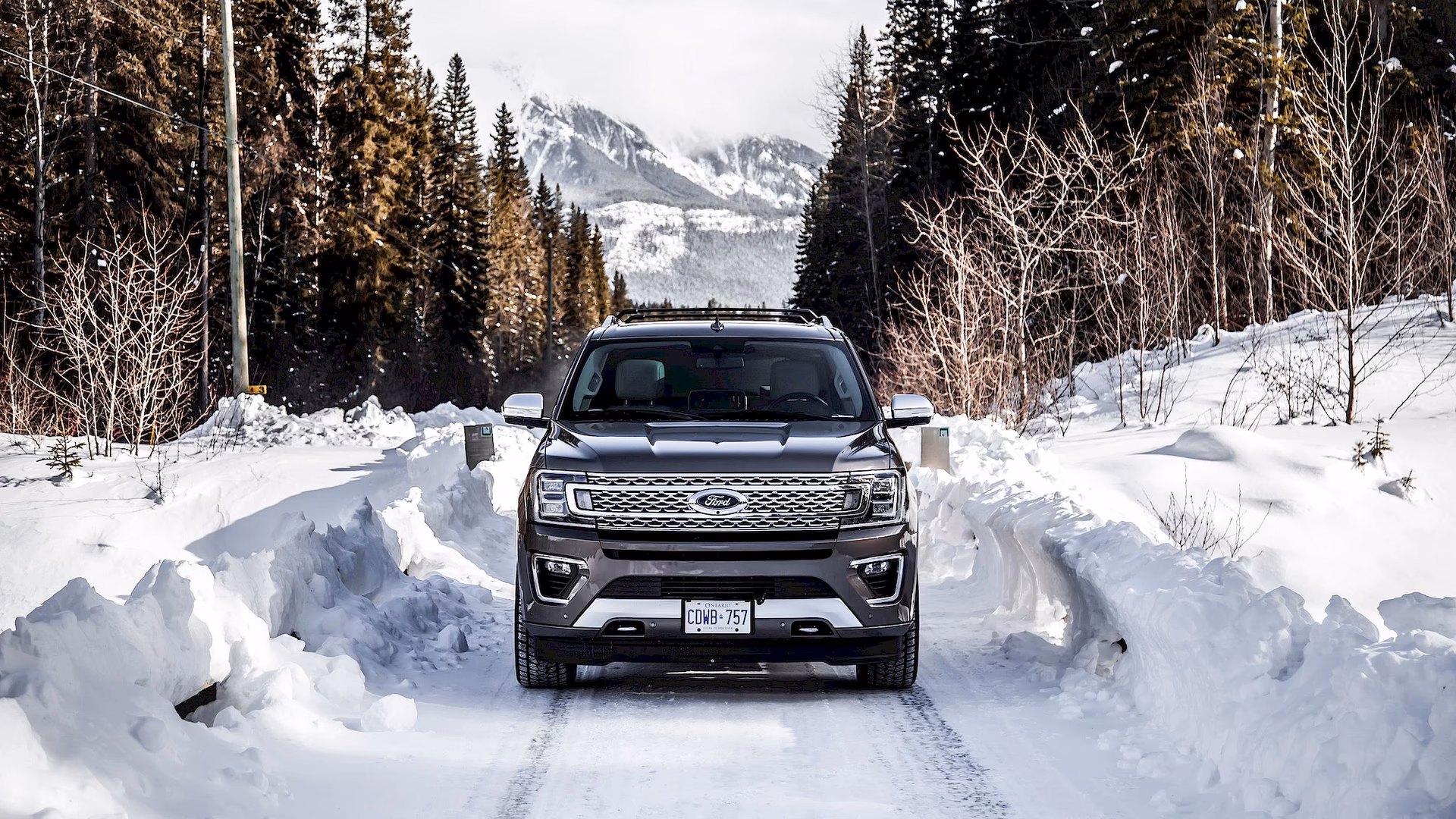 What is the best taxi service in Telluride?