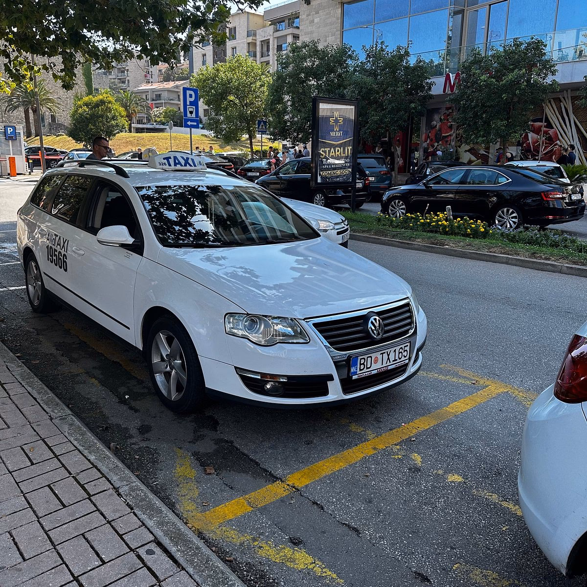 Who is Terra travel?