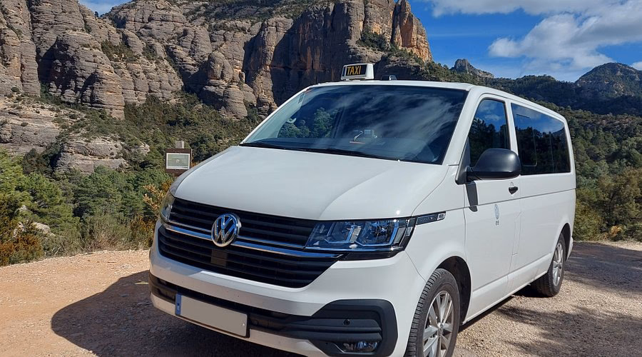 What services does Tossa taxi offer?