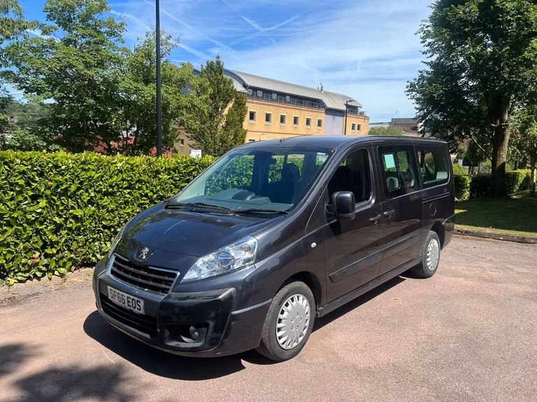 What are wheelchair-accessible vehicles for sale on eBay?