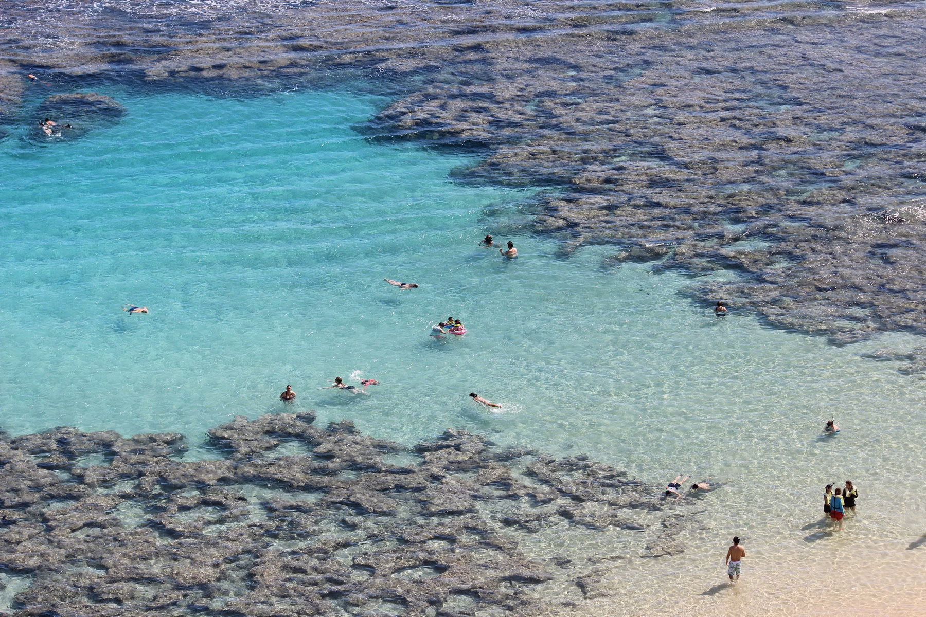 Is there a shuttle to Hanauma Bay?