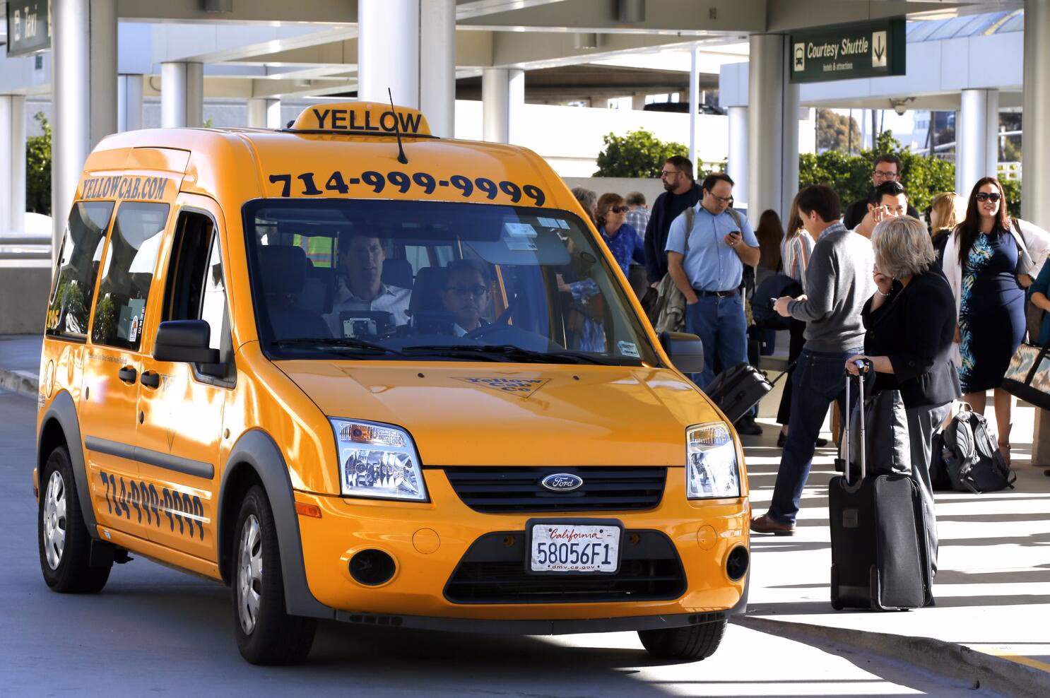 Who is Wayne taxi limo?