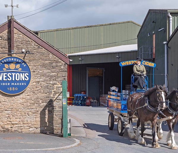Where is Westons cider?