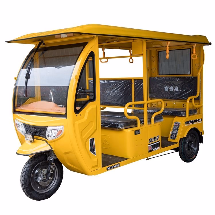 Which electric vehicle taxi service companies are available in India?