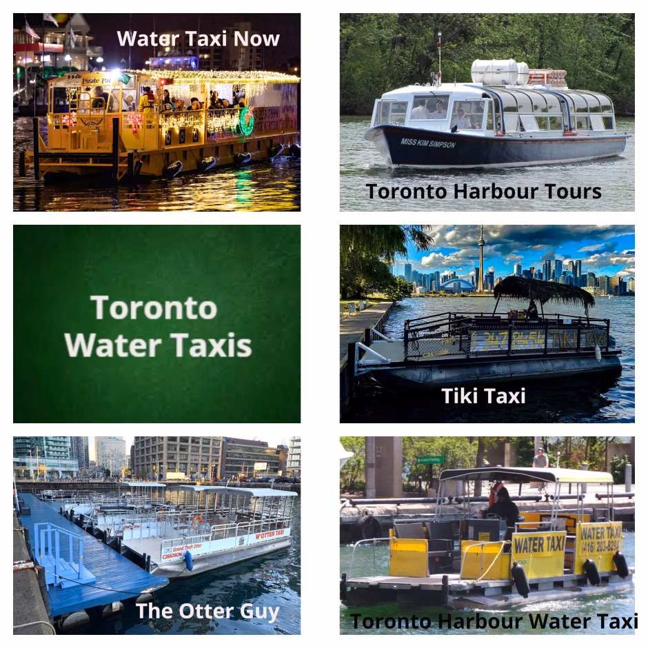 What is the Water Taxi Service?